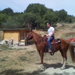 A cavallo